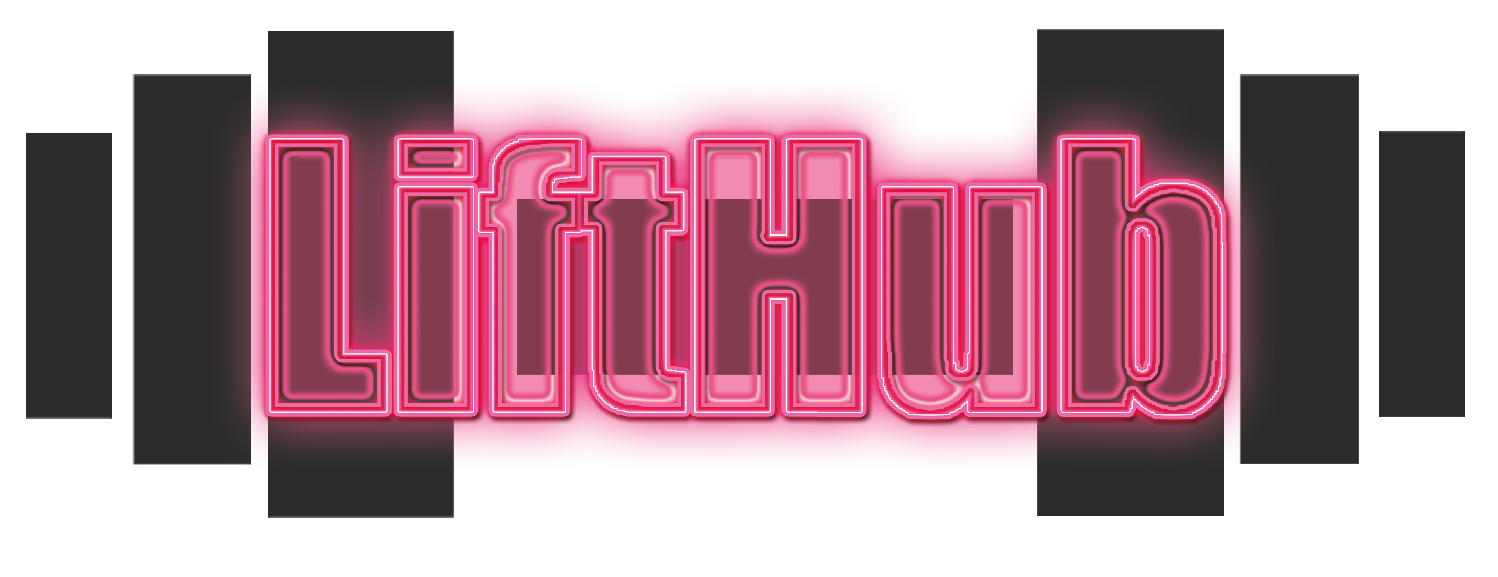 LiftHub_Logo vfinal 3